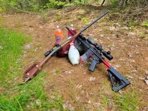 450 Bushmaster vs 45-70 Government which round is king!Bowling balls and pins, soda, steel, chrono.