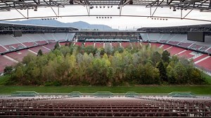 Forest grows in the middle of a football stadium