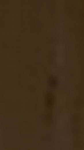 Engaging Conversations in a Warm Ambiance