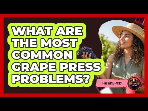 What Are The Most Common Grape Press Problems? - Fine Wine Facts