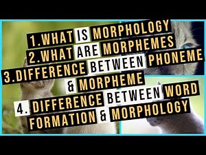 Morphology | Morphemes | Difference between Phoneme and Morpheme |