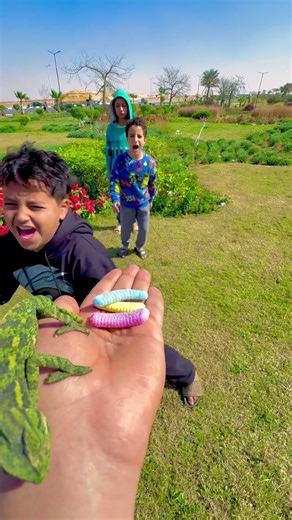 The chameleon scares them greatly🦎😢