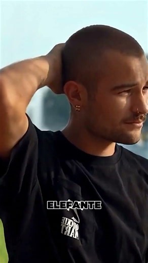 La verdad sobre las patas de los elefantes