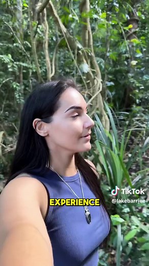🌲🚤 Explore Lake Barrine Like Never Before! 🚤🌲 Ready for an unforgettable day at one of Australia’s most beautiful spots? Lake Barrine is calling! ✨ Teahouse Treats: Start your day at the picturesque teahouse, where you can indulge in delicious bites and soak up stunning lake views. 🍪🍵 ✨ Relaxing Boat Cruise: Take a leisurely boat cruise on the lake and spot a variety of fascinating wildlife in their natural habitat. 🐍🐢 ✨ Scenic Hike: Embark on a 5 km hike around the lake, where lush rain