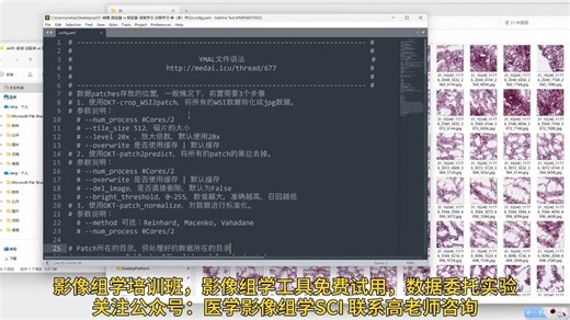 多尺度组学特征与Transformer标志物识别