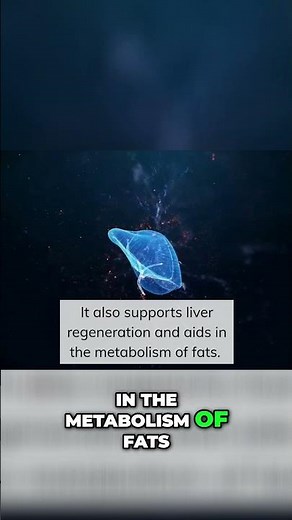 The Power of Taurine: Benefits for Liver Health and Diabetes Management