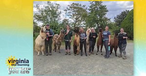 Everywhere You Are: Walking with Llamas