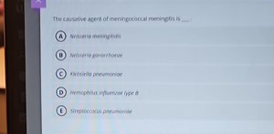 The causative agent of meningococcal meningitis is:A) Neisseri... | Filo