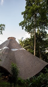 15K views · 1.5K reactions | Do you want to learn more about bamboo...