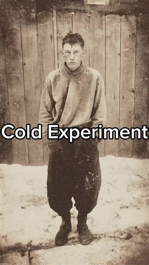 Exploring Crazy Japanese Experiments in Horror