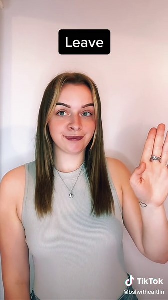 BSL in Travel Vocab (prt 2) #foryou #pageforyou #fyp #britishsignlanguage #Bsl #travel #vocab