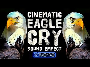 Cinematic Eagle Cry Sound Effect / Sound Of Eagle Cry Echo / Crying Eagle Sound Slowed Down / Free