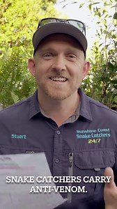 9.9K views · 622 reactions | Snake Myth Sunday! If you would like to see more of these Snake Myths answered, leave your question down below in the comments! It has been a lot of fun clearing up these old wives' tails & we hope to do more in the future! As always, for all relocation & snake information, give us a call at 0409536000. | Sunshine Coast Snake Catchers 24/7 | Facebook