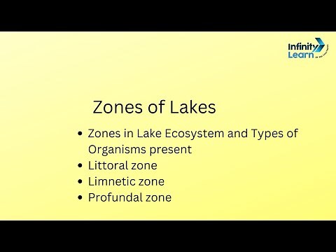 Zones in Lake : Ecosystem and Types of Organisms presentLittoral zonelimnetic zone, profundal zone,
