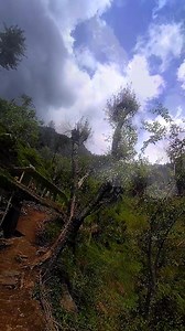 Beautiful view of nature 🤩 | Mountains View