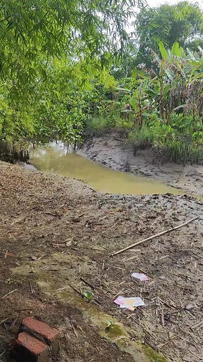 မူရင်းအသံ - 2D Shwe Moe ပါဝင်သည့် 2D Shwe Moe (@2d.shwe.moe6) ၏ ဗီဒီယိုများ