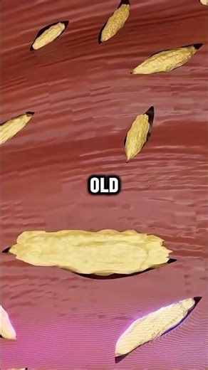 What Happens When You Fast for 24 Hours? (Insulin | Ketosis | Fat Burning)