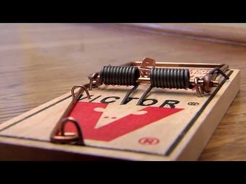 Tapette à Rat De Victor®