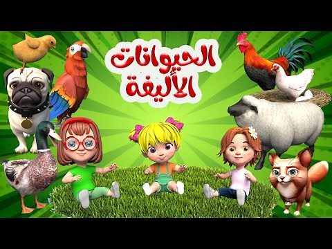 اغنية الحيوانات الأليفة 🥳 | اغاني اطفال بون بون