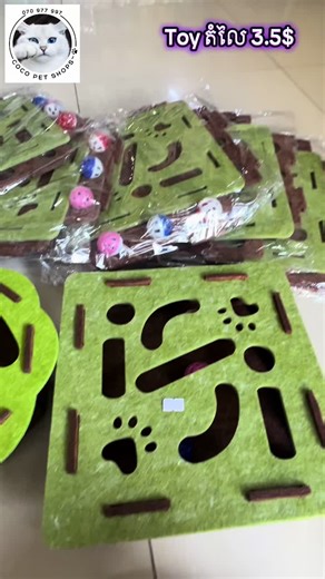 #catslovers🥰🐈 #pet #catslovers🥰 #coco #សត្វចិញ្ចឹម