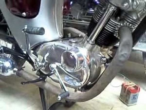 Triumph Tiger cub t20 1963