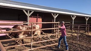 33K views · 373 reactions | We get a lot of questions about loading...