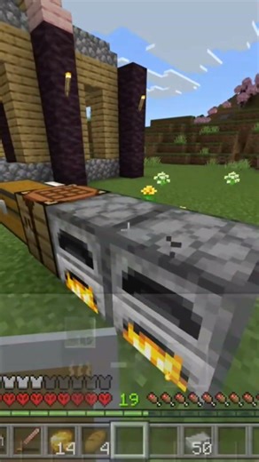 "Cobblestone collector💀" #minecraft