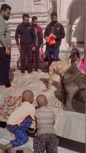 The Temple Where Devotees Walk Beneath an Elephant #shortsvideo