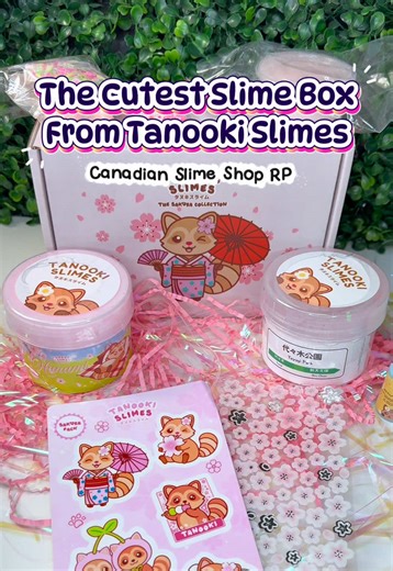 Unboxing the Adorable Canadian Tanooki Slime Package