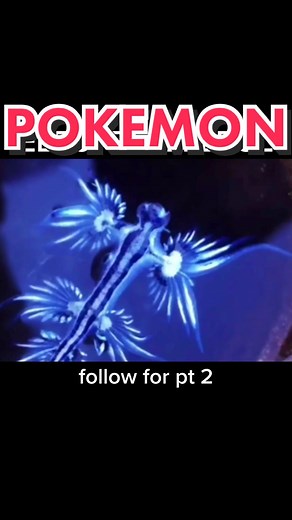 Electric Eelpol: The Real Pokemon