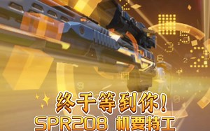 终于等到你！ SPR208机要特工专属返场氪穿and rpd零重奇境 and type25-手Q定制 codm使命召唤手游