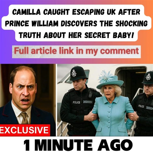 Queen Camilla was reportedly caught trying to escape the UK by boarding a private jet just hours after Prince William uncovered a shocking secret: evidence suggesting that Camilla once had a secret child with King Charles III. This revelation came from materials found buried at Birkhall, Charles's private retreat, including an age-old diary, a confidentiality agreement bearing Queen Elizabeth II's signature, and an ultrasound image believed to prove the child's existence. Read more in comment | 