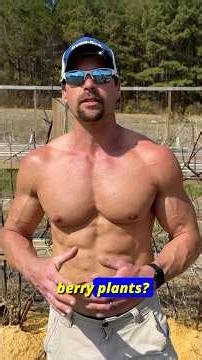 Do This for Bigger Berry Harvests.