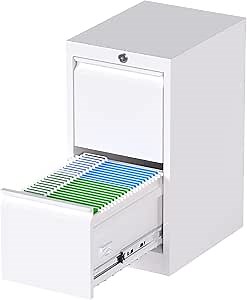 Reemoon Metal File Cabinet with Lock, Drawers Vertical Filing Stoage Cabinets for Home Office, Small and Narrow Filing Cabinet for Hanging Letter/Legal/A4 Folders (White, 2 Drawers) (ZKWJG)