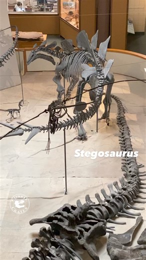 88K views · 2.3K reactions | Monday, Late Jurassic Utah, 148 mya...