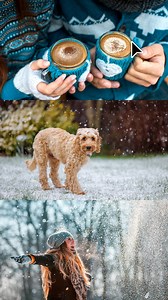 Feeling snowed in? Unlock your imagination with Insert Object. Just brush over an area, type what you want, and watch it appear instantly. ❄️✨ | Adobe Photoshop Elements & Premiere Elements