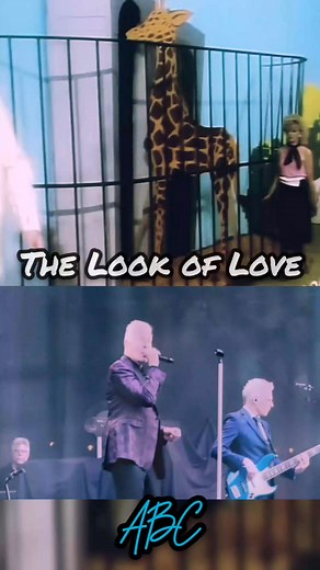 The Look of Love - ABC #reelsmusicvideo #80smusic #newwave #synthpop #rnbsoul #nocopyrightinfringementintended #ForEntertainmentPurposesOnly #credittotheownerofthisvideo #ABCMartinFry #DevinCreislerSrudio #everyoneシ゚ #throwbackmemories #70s80s90s #musica #80smusicvideo | Rolando Bok Galura Jr