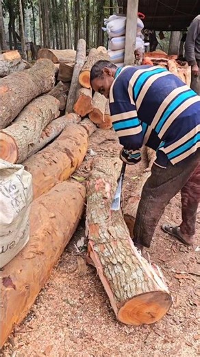 Tree bark is being removed with a shovel.#viral #foryou