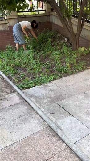 Dong Chichi on Instagram: "Riding a bicycle to the bar, save where you should save, spend where you should spend. #SociallyAnxious #IntrovertedShyQuietGirl #IntrovertedQuiet #NortheastSweetGirl #NortheastGirl #ElegantWoman"