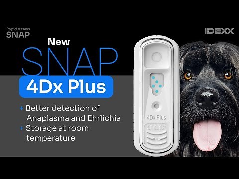 IDEXX SNAP | The most trusted rapid assay test for Veterinarians