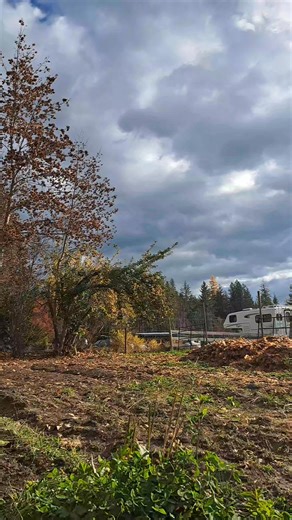 I cannot thank Quak Nik enough for fixing my tractor! 🚜 The parts are no longer available for this relic but this genius somehow figured it out. Thank you Nik!💛 Now I can plant my garlic!🧄🧄🧄 ....and what a gorgeous fall day🍂🧡 #farmlife #beyondgrateful #ilovemyjob #farming #westkootenays #eatlocal | Nakusp East Farms