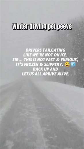 Winter driving pet peeve: Drivers tailgating like we’re not on ice. Sir… this is not Fast & Furious, it’s Frozen & Slippery. 😅🧊 Back up and let us all arrive alive. No #WinterDriving #TailgatingSeason #BackUpBuddy #SnowDayProblems #DriveSafeEh #CanadaWinter | Agnes Weppler
