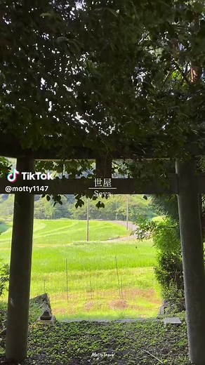 京丹後の夏の魅力を探る！