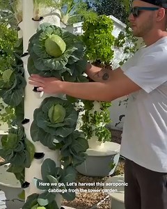 616K views · 10K reactions | This guy has the best space-saving method for growing vegetables!  Agrotonomy Tower Farms | GOODLAD | Facebook