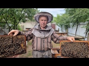 AMAZING HONEY FARM IN THE MOUNTAINS! LIFE IN THE MOUNTAINS VILLAGE