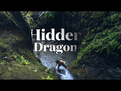 I Got Deep Into Hawaii’s Jungle To Find This Waterfall