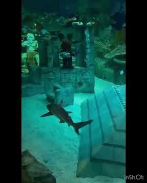 Submarine view at LEGOLAND , DUBAI##