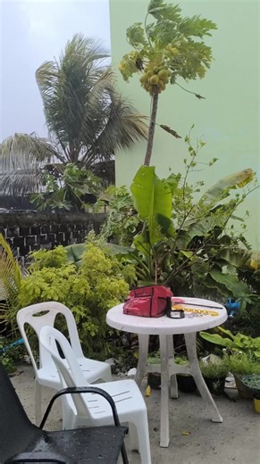 ހިތްގައިމު ދުވަހެއް! | Ahmed Zahid