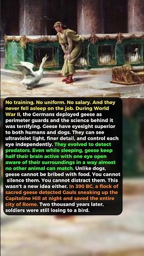 The Germans Replaced Their Guards With Geese. It Actually Worked." | WWII's Strangest Soldier