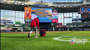 Birds in Milwaukee | St. Louis Cardinals